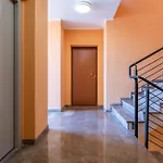 Апартаменты Graces House Пиза