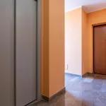 Graces House Пиза