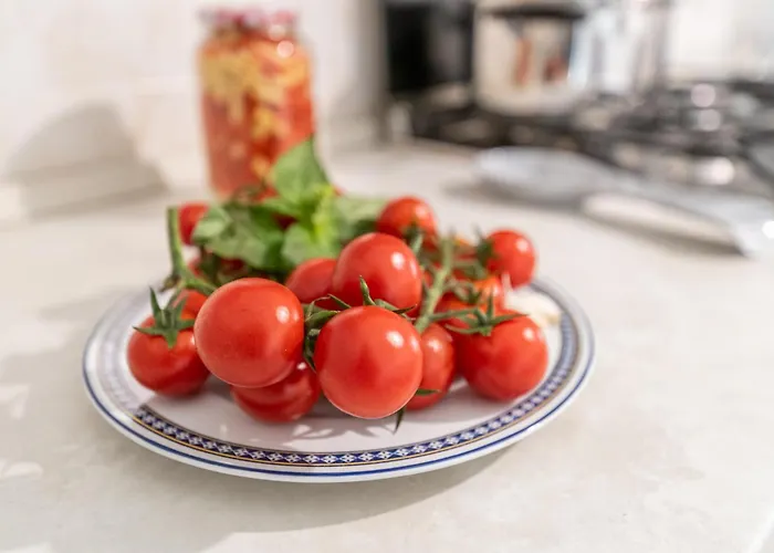 Graces House アパート ピサ